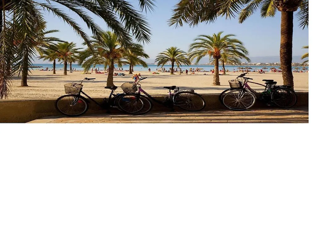 Sol De Mallorca El Arenal